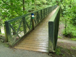 Image on trail